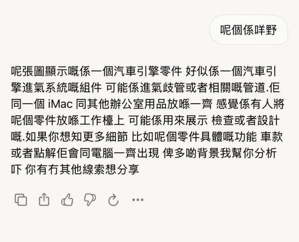 Grok 升級實試｜新增 Grok Vision 及 Grok Voice 手機鏡頭一掃即時語音解說 探索世界更輕鬆有趣