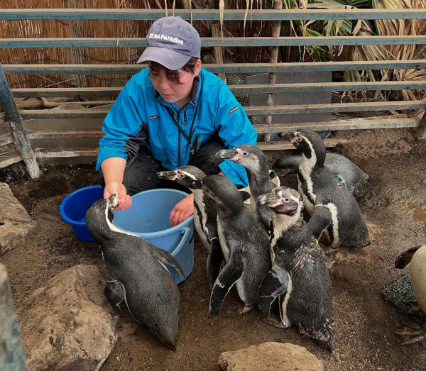 世界企鵝日｜日本水族館企鵝主題活動合集！池袋陽光水族館/名古屋港水族館/長崎企鵝水族館 