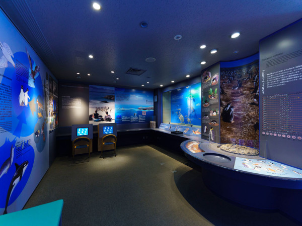 世界企鵝日｜日本水族館企鵝主題活動合集！池袋陽光水族館/名古屋港水族館/長崎企鵝水族館 