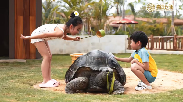 清遠長隆森林王國開幕 9大主題區 搭蒸汽火車睇動物大遷徙 附酒店/交通資訊 