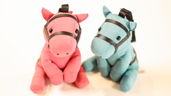 沙田馬場百勝廳首推母親節三重賞   限時6折優惠 / 免費送珍饈一品煲及玫瑰花 人均$200起!