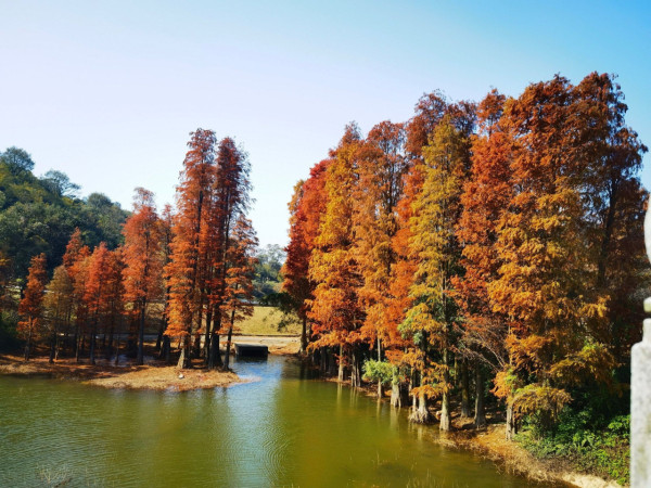 江門旅遊10大必去特色景點 赤坎古鎮、那琴半島、溫泉小鎮 