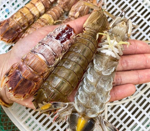 江門旅遊10大必去特色景點 赤坎古鎮、那琴半島、溫泉小鎮 