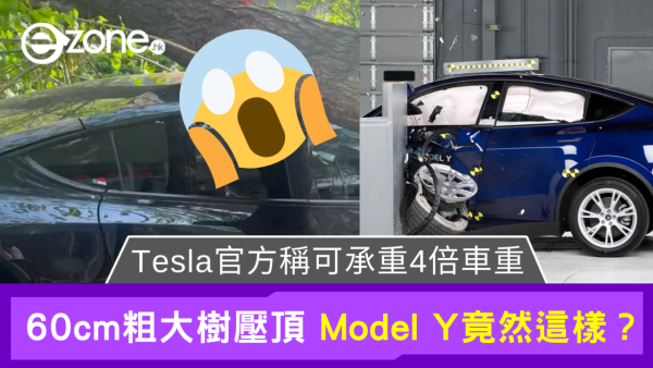 Tesla稱Model Y玻璃可承受4倍重量 大樹壓車頂竟然這樣？