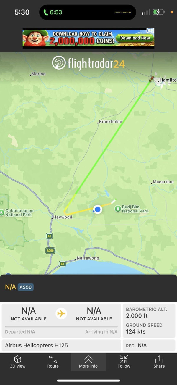 澳洲派直升機殺逾700隻樹熊 稱為善意安樂死 動保團體怒斥反智殘忍 