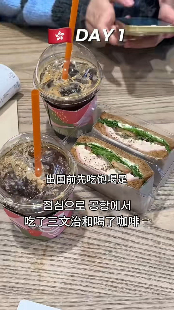 韓國女分享遊港3日2夜行程 推一景點最好玩/呻這裏用餐性價比低