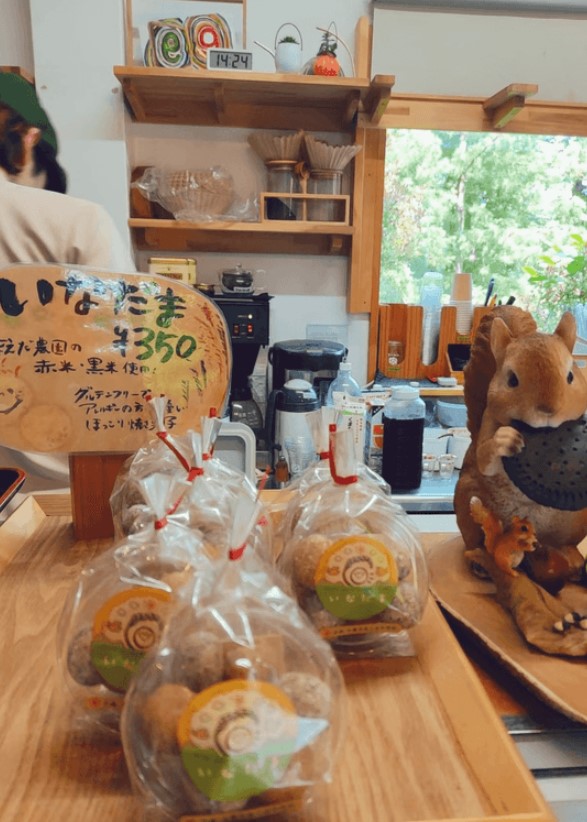 三日兩夜玩盡福岡 | 屋台一條街／森林咖啡／環遊系島 