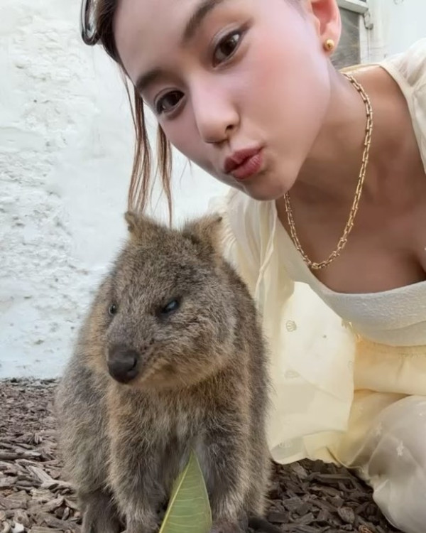 「豪門千金」何超蓮遊澳洲泳照被讚仙氣！曬Fit爆身材間接打破懷孕傳聞 