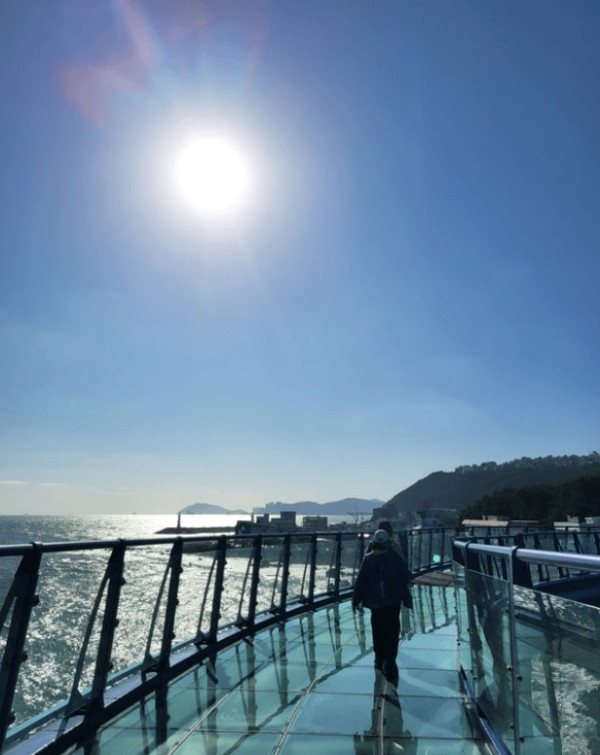 釜山快閃懶人包 | 海雲台Cafe／天空列車／巨量海鮮拼盤 