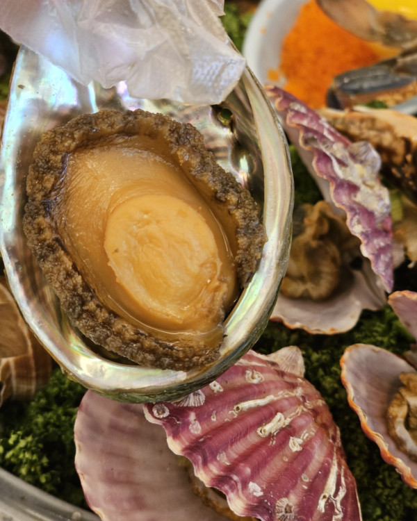 釜山快閃懶人包 | 海雲台Cafe／天空列車／巨量海鮮拼盤 