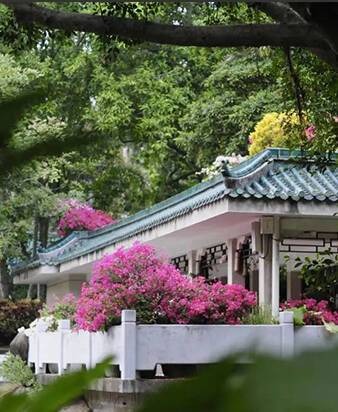 廈門自由行｜廈門旅遊景點逾15個推介！鼓浪嶼/廈門雙子塔/貓咪博物館 