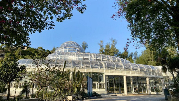 廈門自由行｜廈門旅遊景點逾15個推介！鼓浪嶼/廈門雙子塔/貓咪博物館 