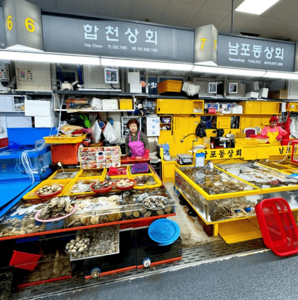 釜山快閃懶人包 | 海雲台Cafe／天空列車／巨量海鮮拼盤 