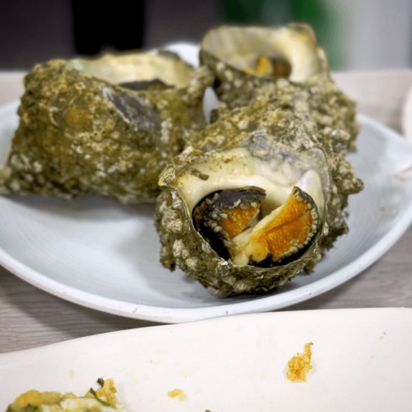 釜山快閃懶人包 | 海雲台Cafe／天空列車／巨量海鮮拼盤 