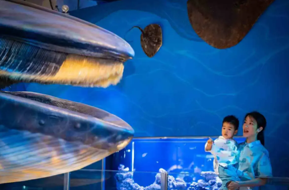 廈門自由行｜廈門旅遊景點逾15個推介！鼓浪嶼/廈門雙子塔/貓咪博物館 