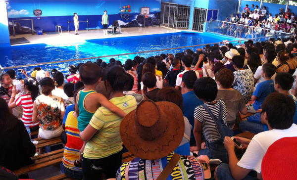 廈門自由行｜廈門旅遊景點逾15個推介！鼓浪嶼/廈門雙子塔/貓咪博物館 