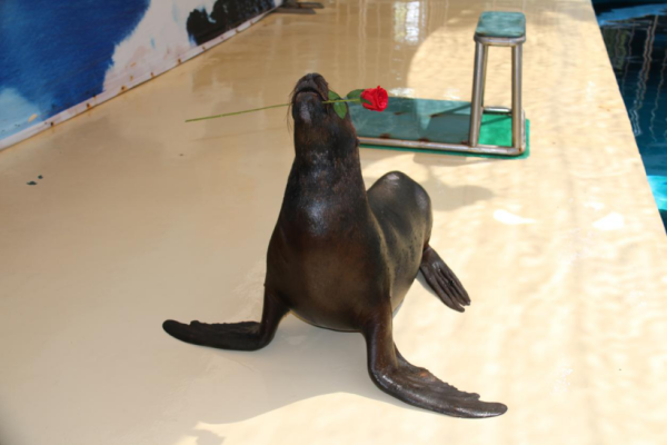 廈門自由行｜廈門旅遊景點逾15個推介！鼓浪嶼/廈門雙子塔/貓咪博物館 