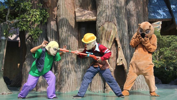 廈門自由行｜廈門旅遊景點逾15個推介！鼓浪嶼/廈門雙子塔/貓咪博物館 