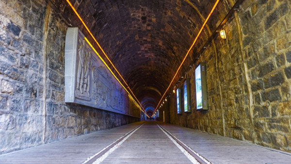 廈門自由行｜廈門旅遊景點逾15個推介！鼓浪嶼/廈門雙子塔/貓咪博物館 