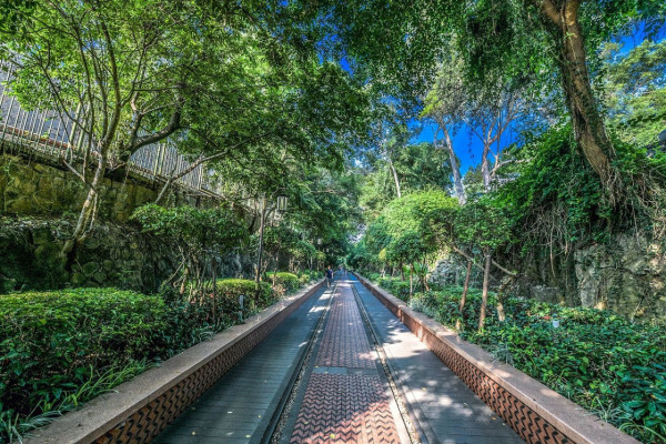 廈門自由行｜廈門旅遊景點逾15個推介！鼓浪嶼/廈門雙子塔/貓咪博物館 