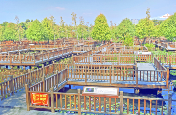 廈門自由行｜廈門旅遊景點逾15個推介！鼓浪嶼/廈門雙子塔/貓咪博物館 