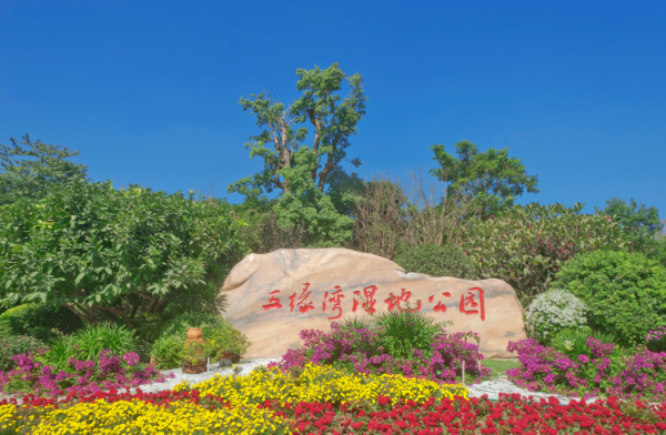 廈門自由行｜廈門旅遊景點逾15個推介！鼓浪嶼/廈門雙子塔/貓咪博物館 