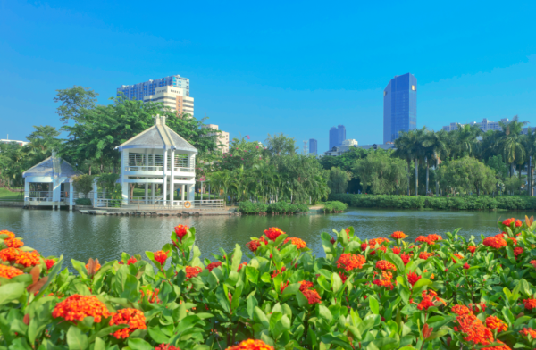 廈門自由行｜廈門旅遊景點逾15個推介！鼓浪嶼/廈門雙子塔/貓咪博物館 