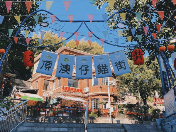廈門自由行｜廈門旅遊景點逾15個推介！鼓浪嶼/廈門雙子塔/貓咪博物館 