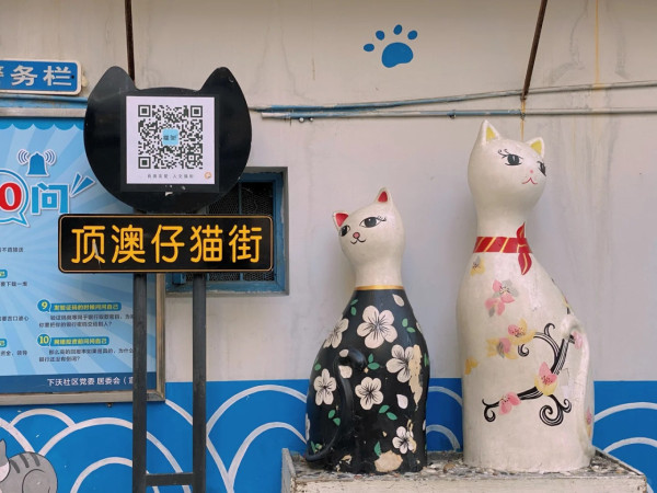 廈門自由行｜廈門旅遊景點逾15個推介！鼓浪嶼/廈門雙子塔/貓咪博物館 