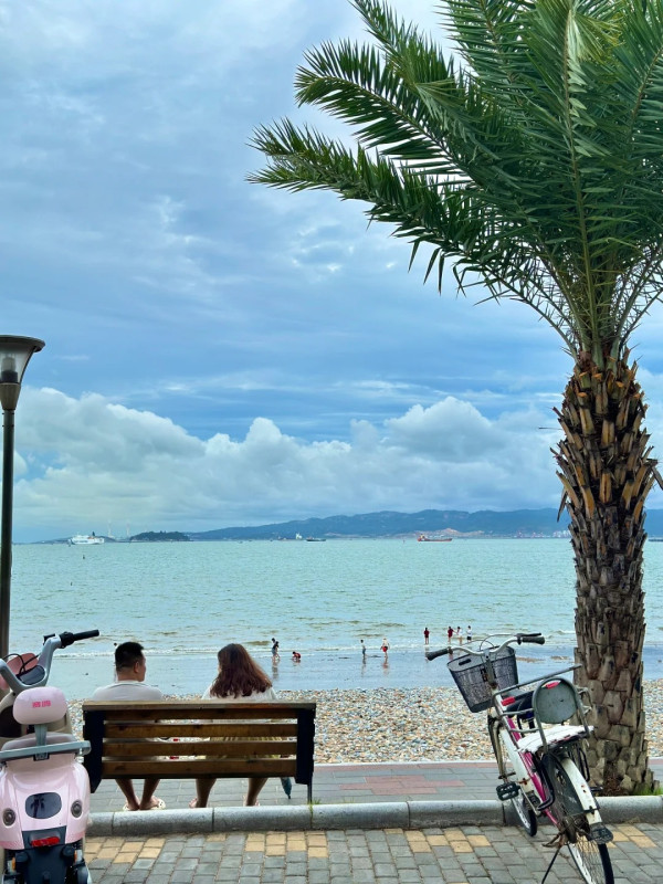 廈門自由行｜廈門旅遊景點逾15個推介！鼓浪嶼/廈門雙子塔/貓咪博物館 