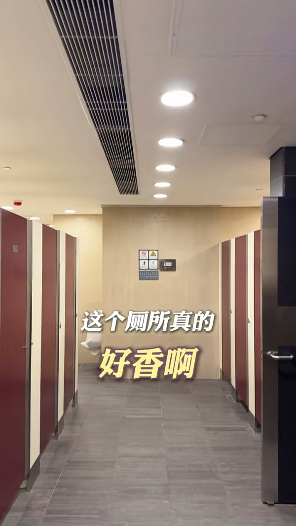 小紅書香港商場廁所評測 讚設計具特色 一處豪華到似套房/這裏最低分 