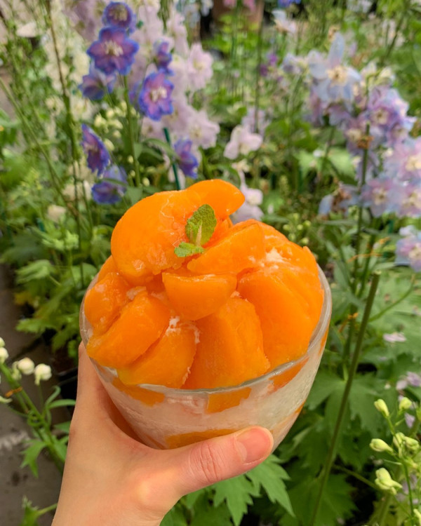 colline（圖片來源：IG@colline_cafe）