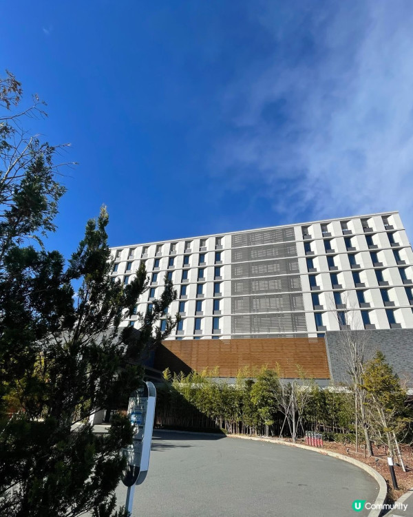 網民大推！東京自由行爆紅全攻略 | 溫泉酒店／任食魚生／迴轉壽司 