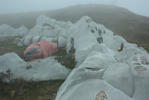 意大利60米長粉紅巨兔獨守山坡20年 未被呵護今剩殘骸腐爛剩皮 