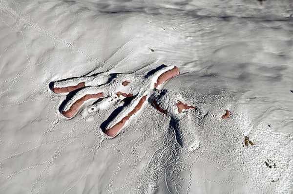 意大利60米長粉紅巨兔獨守山坡20年 未被呵護今剩殘骸腐爛剩皮 