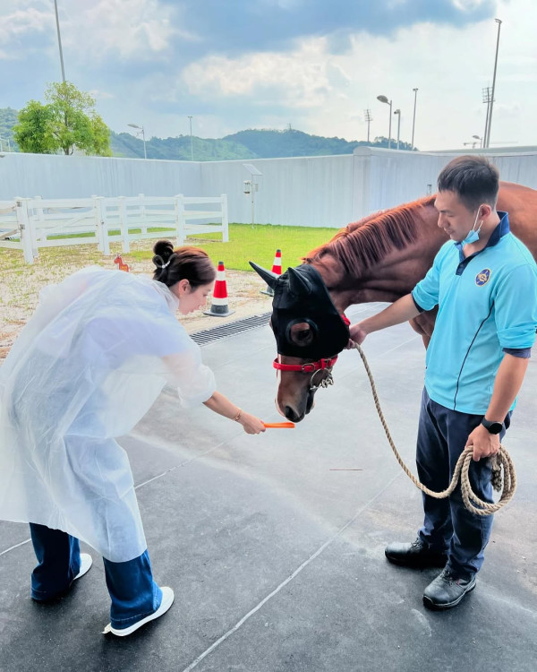 前TVB新聞女王周嘉儀風騷拉頭馬 愛駒「天下寵兒」終於贏返次！躋身上流做馬主生活富貴