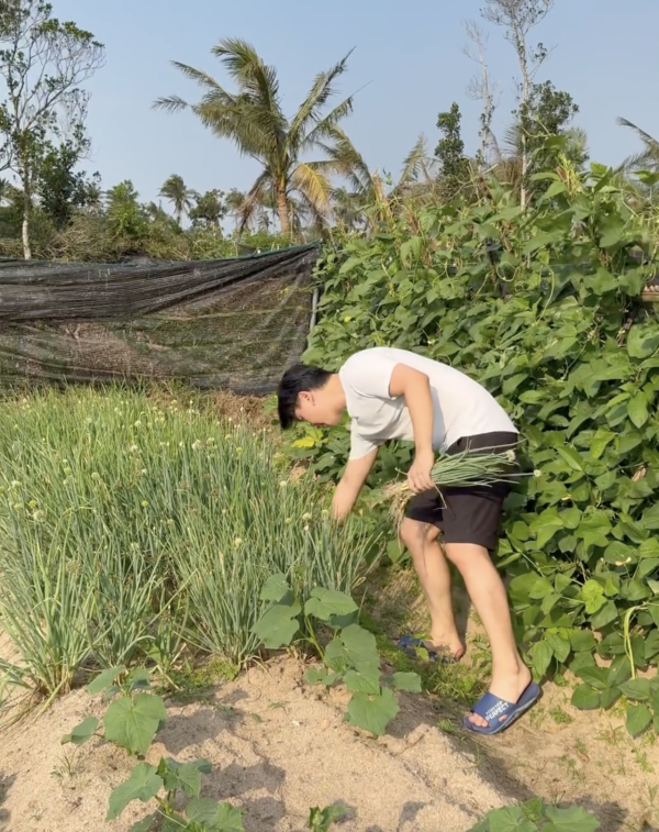 雲浩影海南海邊騎馬仙氣滿滿 罕曬音樂人男友合照高調放閃