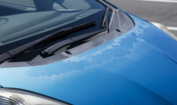 汽車打蠟DIY教學｜用什麼蠟如何拋光？打蠟好處技巧工具操作順序不傷車