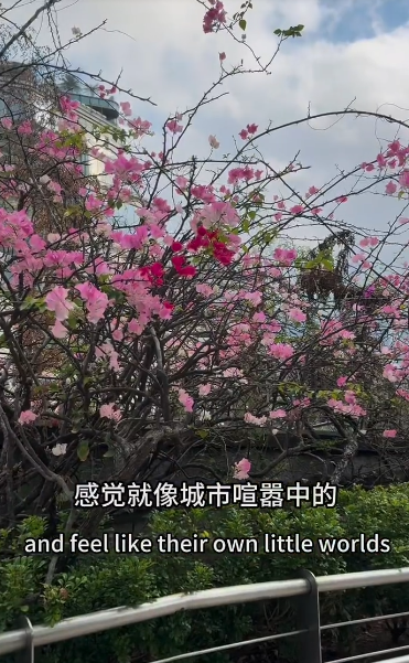 居深圳美國人震撼告白：香港巔峰期已過？痛批2大缺點唯獨1地方成最後淨土