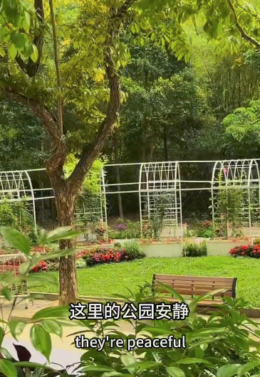 居深圳美國人震撼告白：香港巔峰期已過？痛批2大缺點唯獨1地方成最後淨土