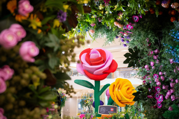 全港首個LEGO®植物園登陸太古廣場！逾12萬顆LEGO/5大打卡位！必換精緻積木花朵！