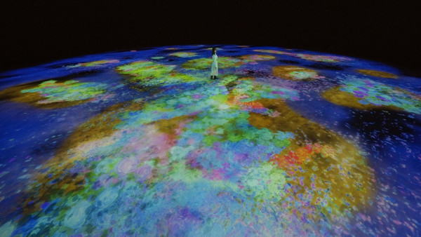 全球最大teamLab開幕 5大光影水氣奇幻宇宙 佔地1.7萬平方米