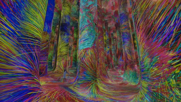 全球最大teamLab開幕 5大光影水氣奇幻宇宙 佔地1.7萬平方米