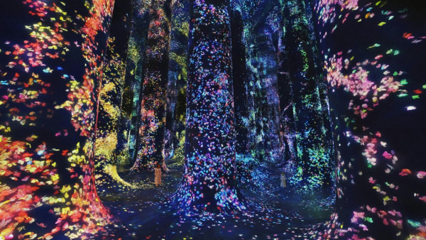 全球最大teamLab開幕 5大光影水氣奇幻宇宙 佔地1.7萬平方米