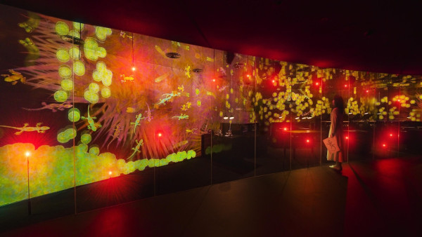 全球最大teamLab開幕 5大光影水氣奇幻宇宙 佔地1.7萬平方米