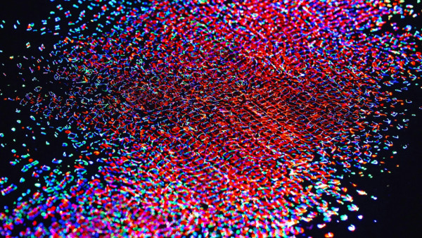 全球最大teamLab開幕 5大光影水氣奇幻宇宙 佔地1.7萬平方米