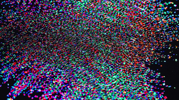 全球最大teamLab開幕 5大光影水氣奇幻宇宙 佔地1.7萬平方米