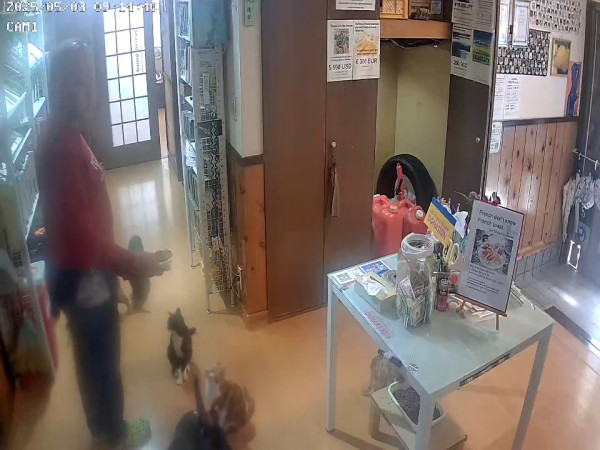 日本青森驚現恐怖巨鳴 網民擔憂地震先兆 氣象台出面回應