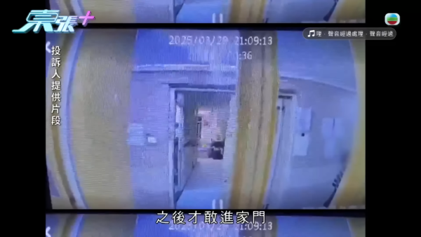 苦等10年公屋上樓遇恐怖鄰居！一家五口被惡招恐嚇逼走！鄰居自稱戀童癖：好鍾意玩你啲細路...