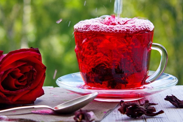 減肥適合喝什麼茶？營養師推薦5款減肥茶！運動前飲綠茶、烏龍茶助燒脂